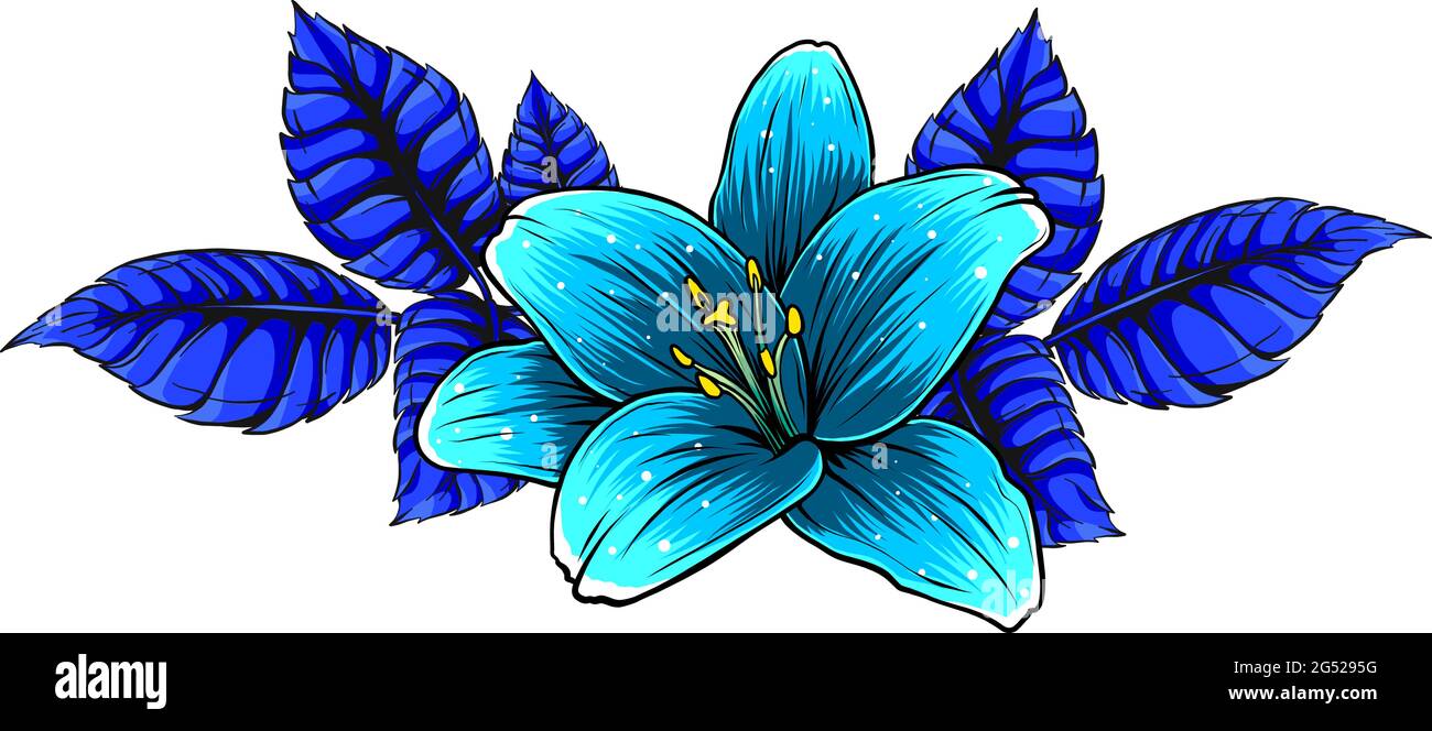 Lily Flower Drawings In Color
