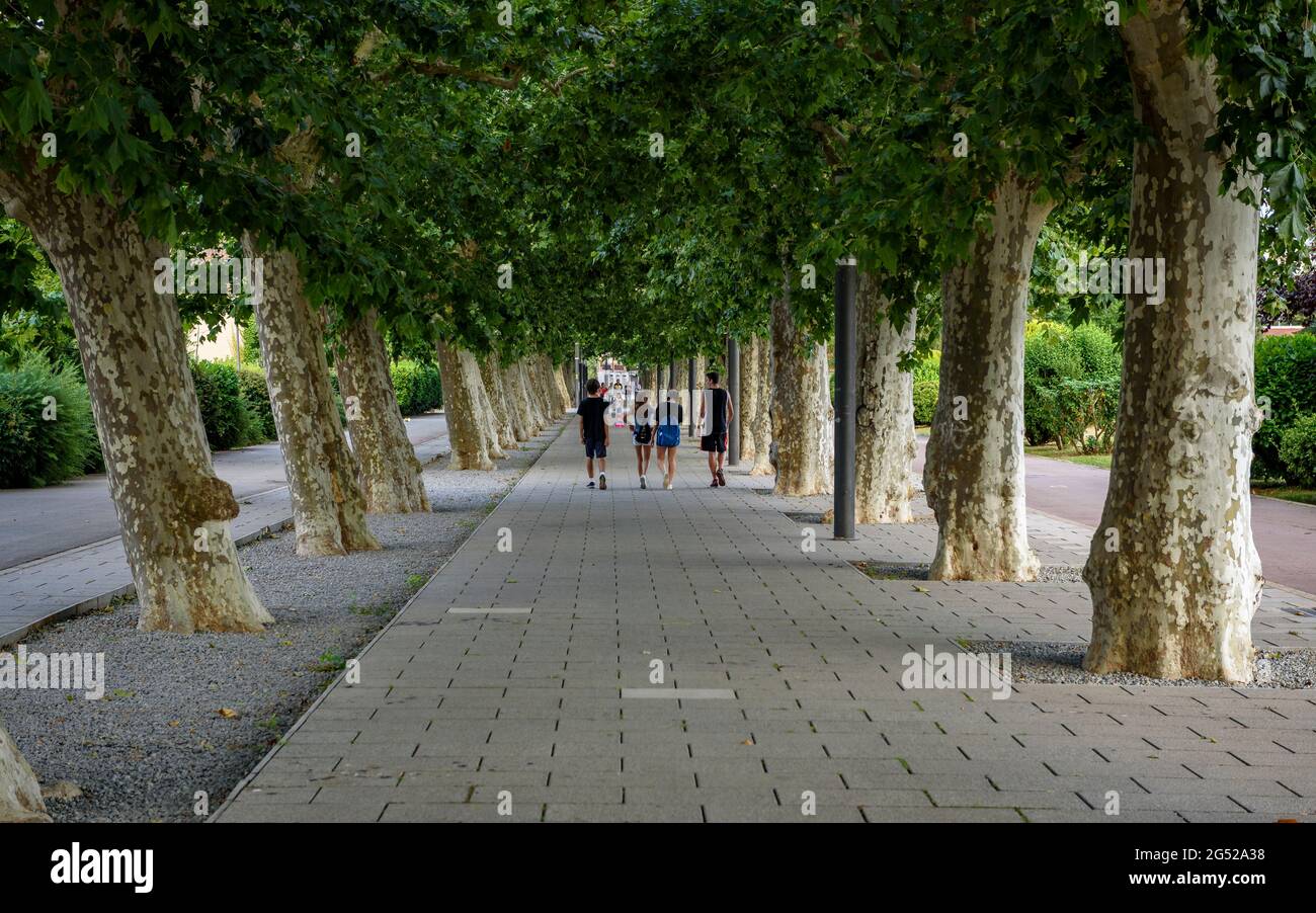 Remei promenade between Santa Maria and Sant Esteve de Palautordera (Vallès Oriental, Barcelona, Catalonia, Spain) Stock Photo