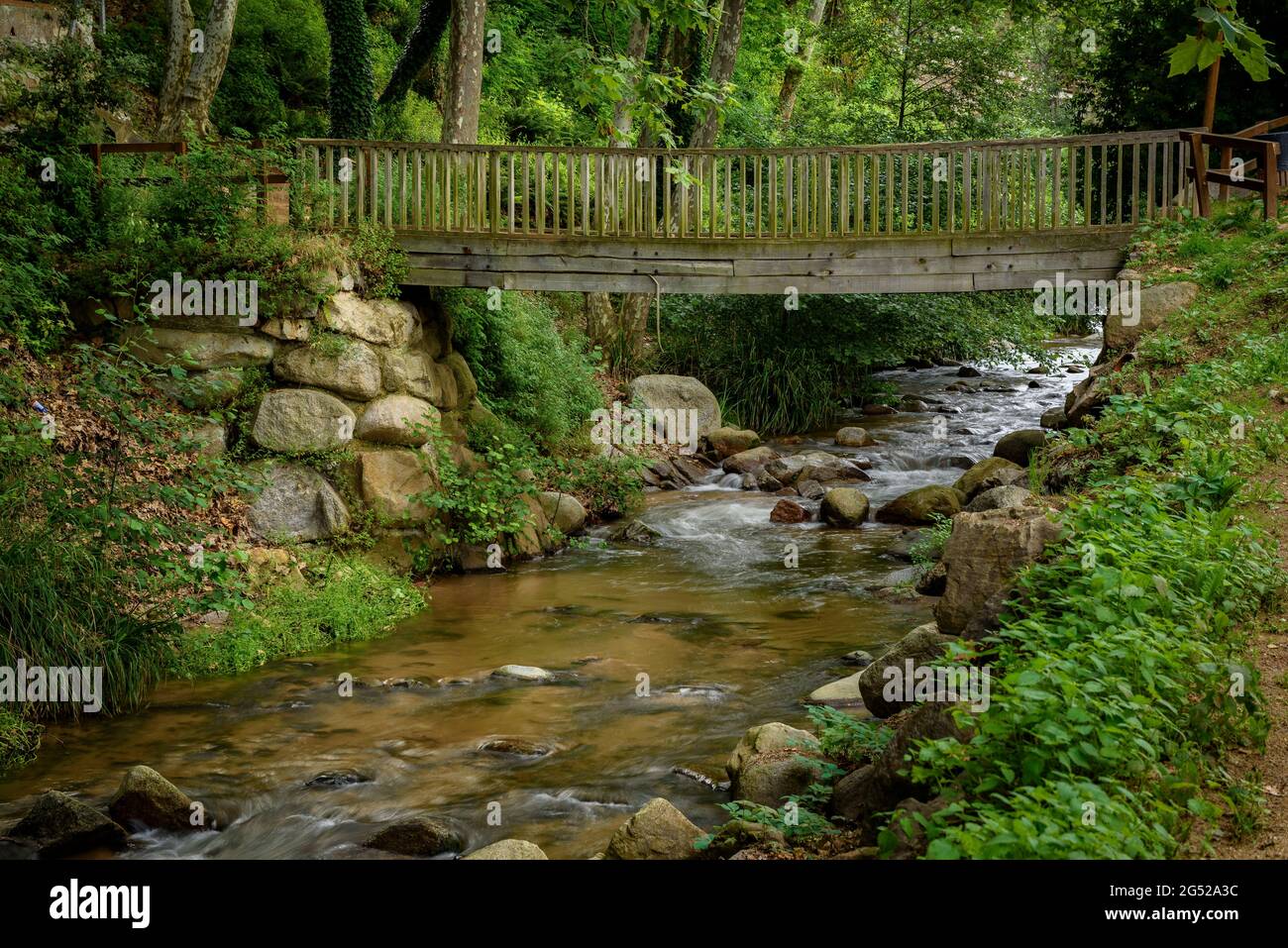 Riera d'Arbúcies (Arbúcies stream) in spring (La Selva, Montseny ...