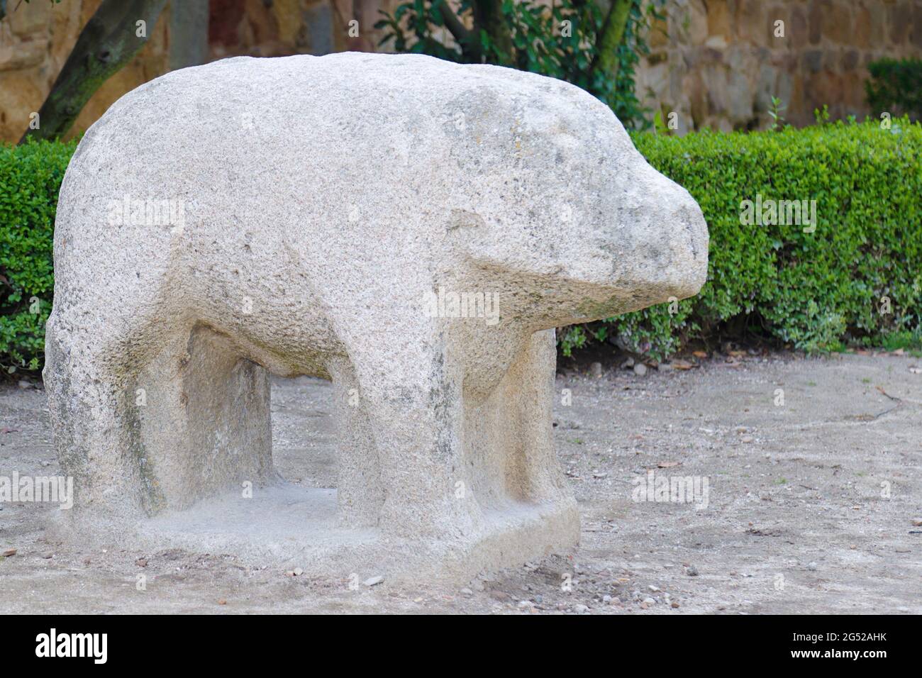 Ancient verracos (Vettones's granite megalithic monuments) located in Avila, Spain Stock Photo