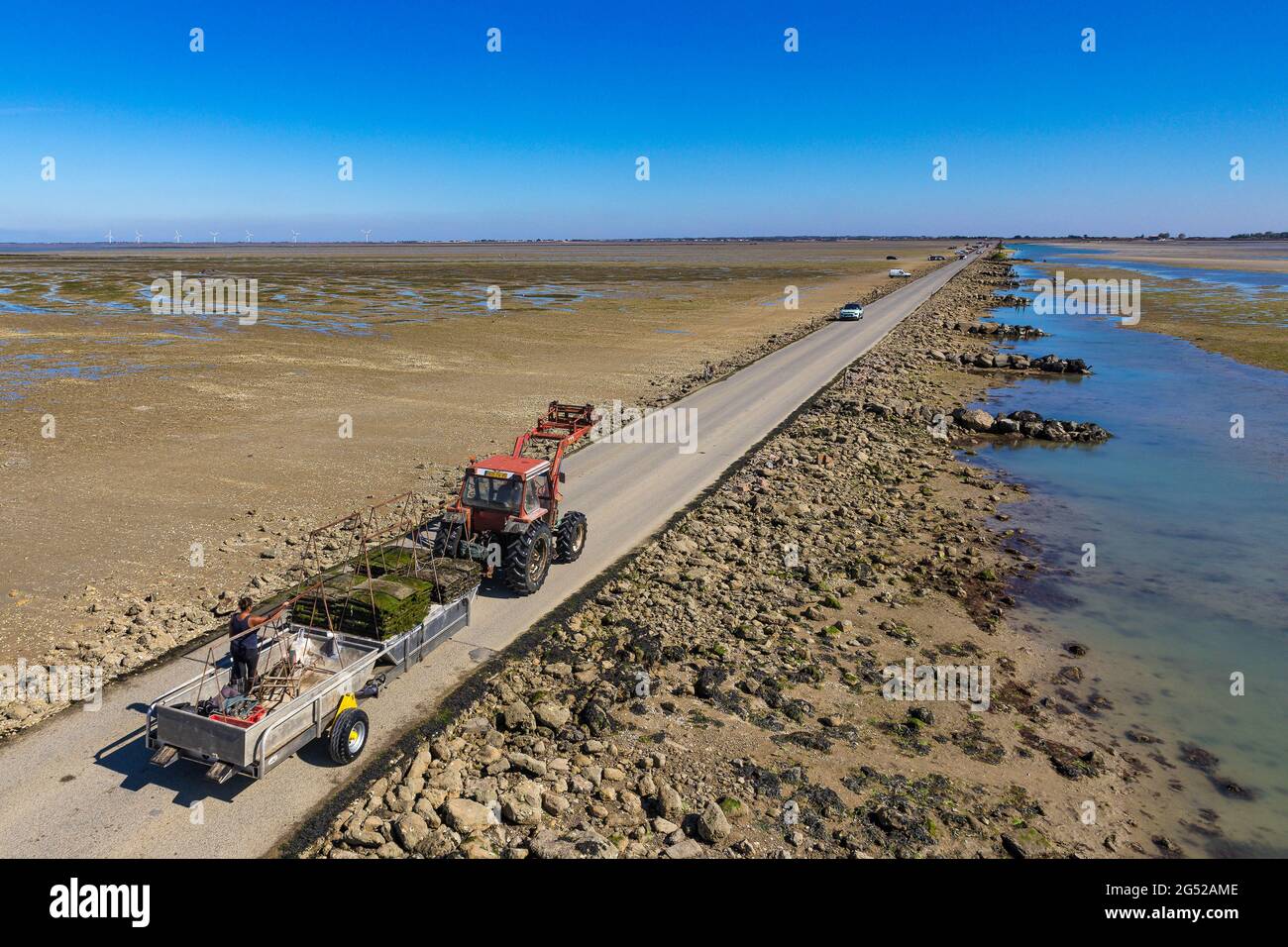 FRANCE. VENDEE (85), NOIRMOUTIER ISLAND, THE GOIS PASSAGE, OYSTERING Stock Photo