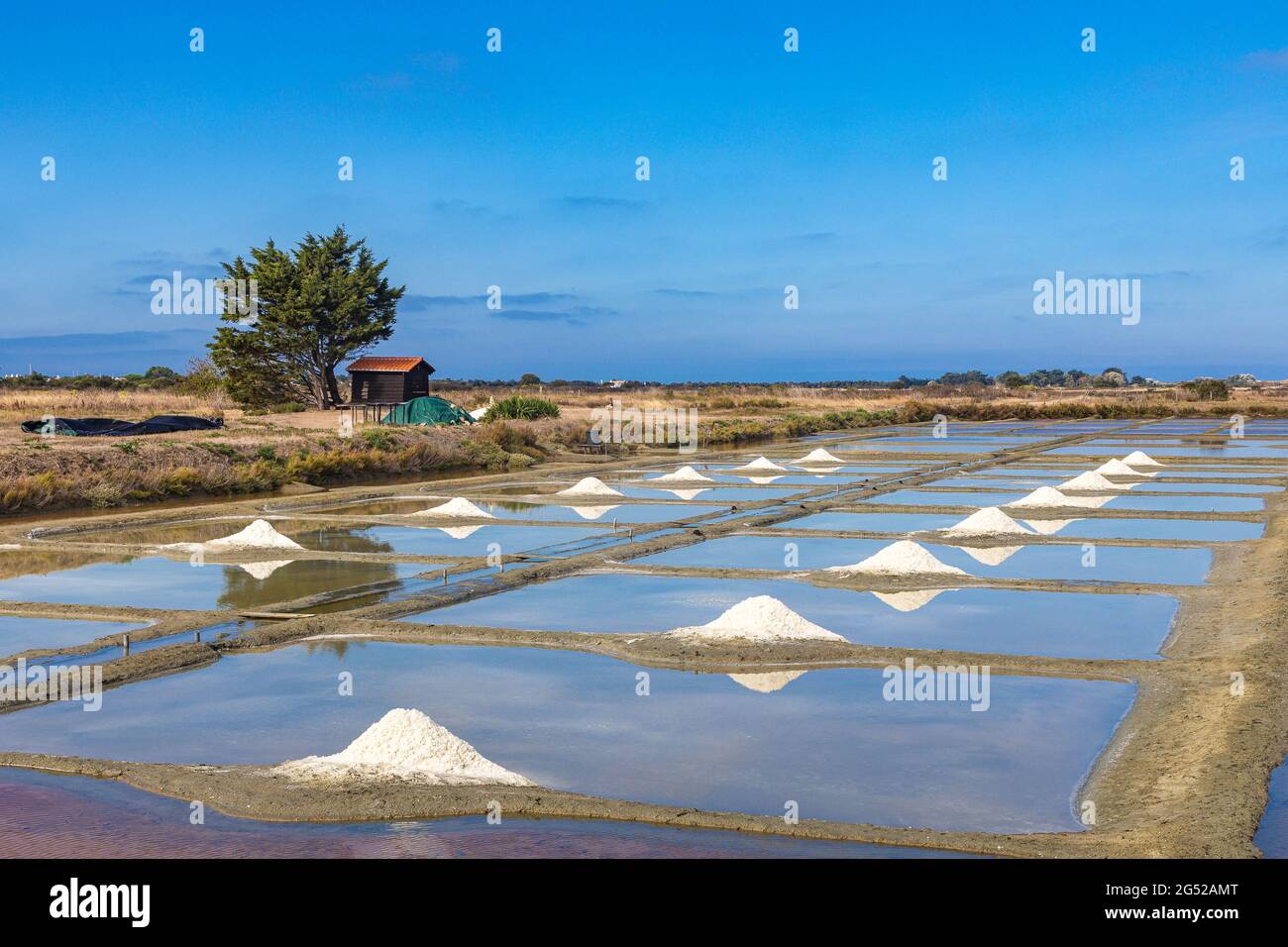 FRANCE. VENDEE (85), NOIRMOUTIER ISLAND, SALT MARSH Stock Photo