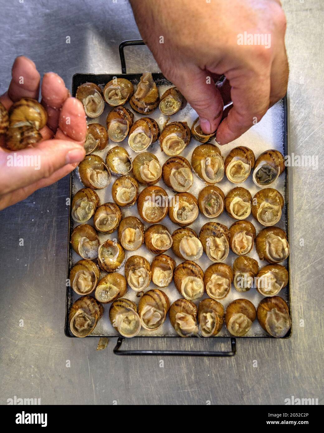 The chef of the restaurant Can Josep (Josep Montoya), in Bot, preparing some 'Cargols a la llauna' (land snails cooked on a tin pan) Terra Alta, Spain Stock Photo