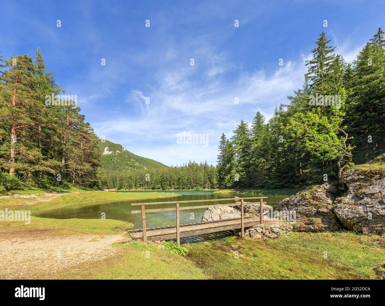 Wooden footbridge at the green lake Grüner See near Oberort in Styria Stock Photo