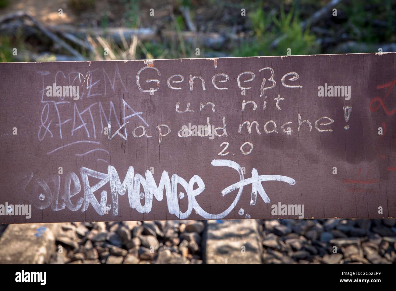 a bench with graffiti (translation: enjoy and not destroy) stands in Koenigsforest, Cologne, Germany  eine Bank mit Graffitis (Geneeße un nit kapoddma Stock Photo