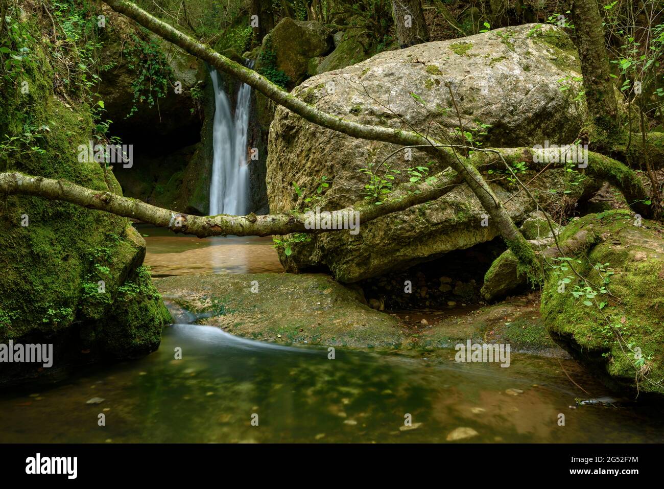 rbol En La Roca Hi res Stock Photography And Images Alamy rbol-en-la-roca-hi-res-stock-photography-and-images-alamy