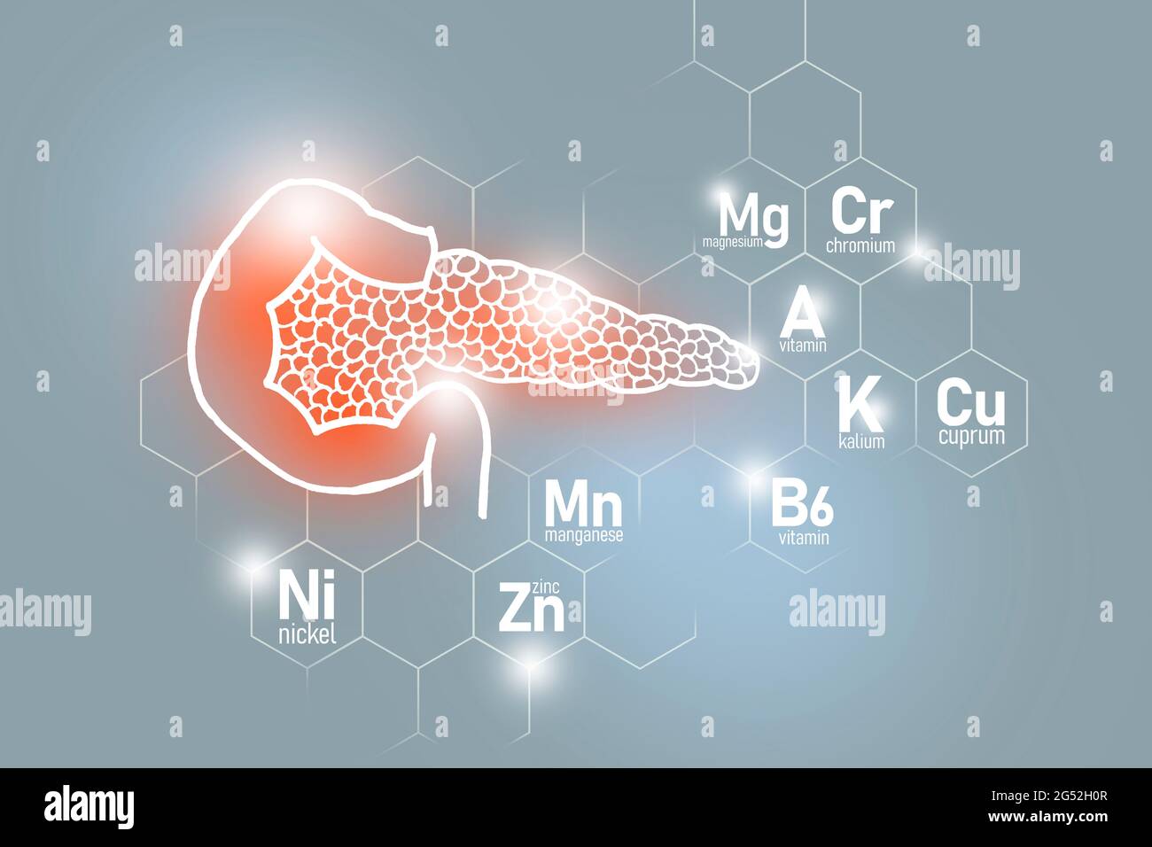 Essential nutrients for Pancreas health including Nickel, Chromium, Cuprum, Manganese. Design set of human organs on light grey background. Stock Photo