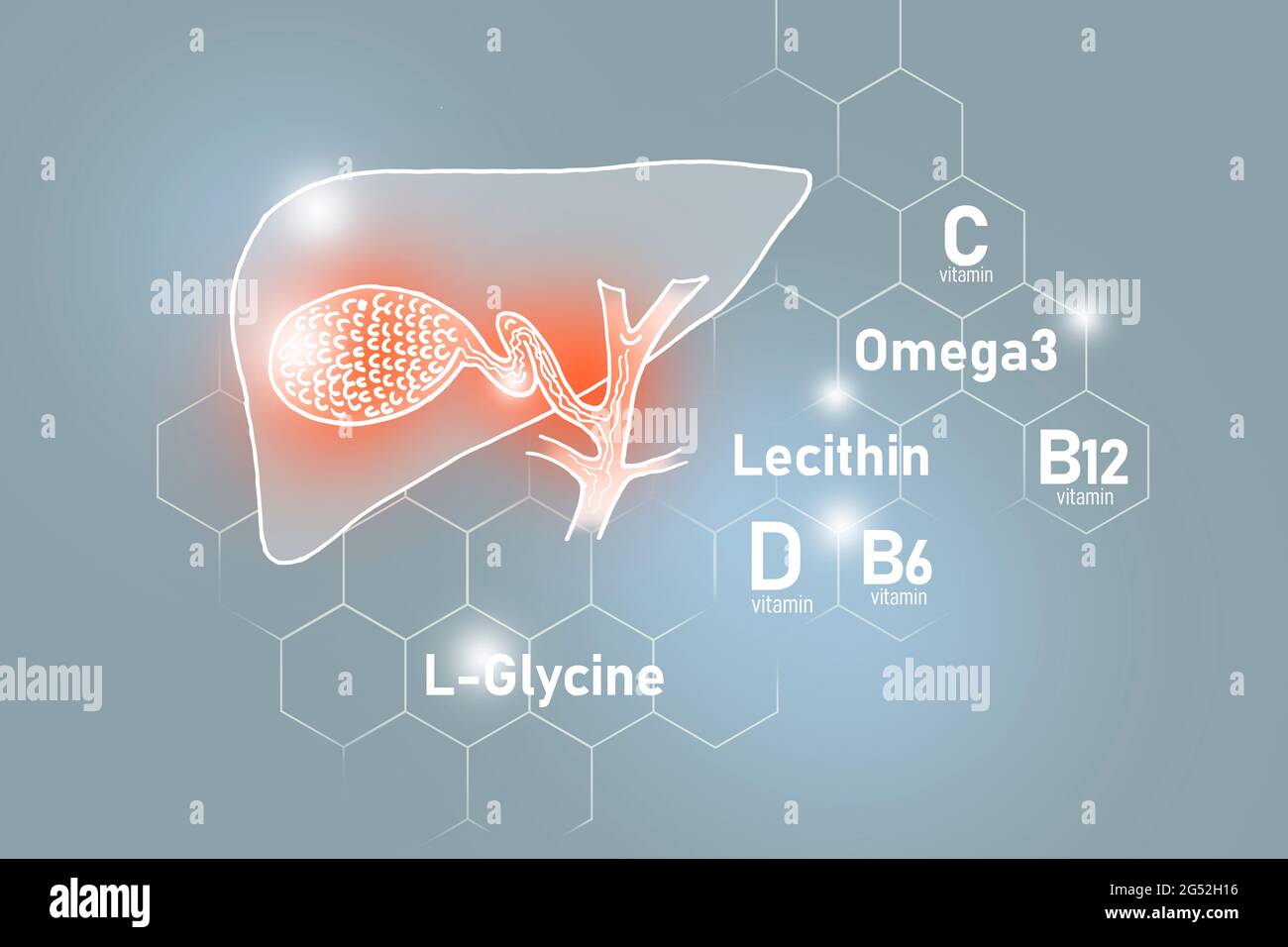 Essential nutrients for Gall Bladder health including Omega 3, L-Glycine, Omega3, Lecithin on light grey background Stock Photo