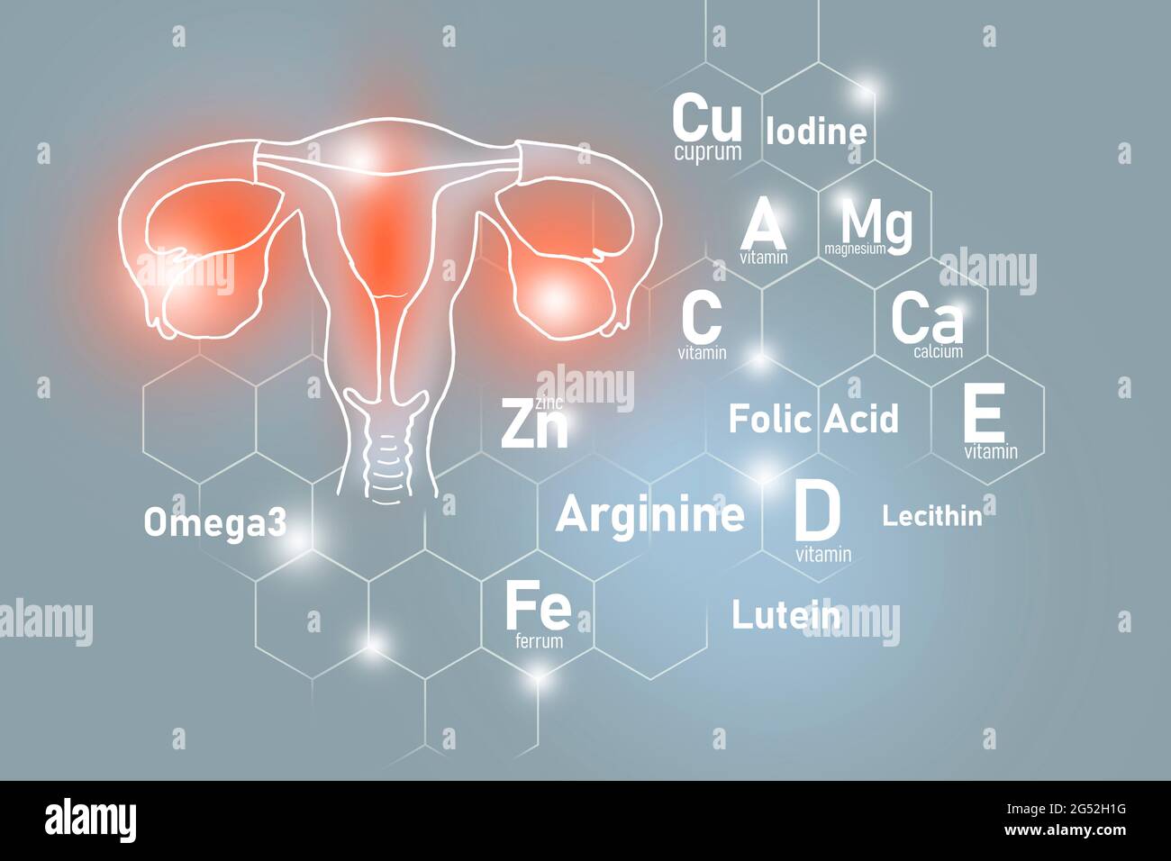 Essential nutrients for Uterus health including Omega 3, Arginine