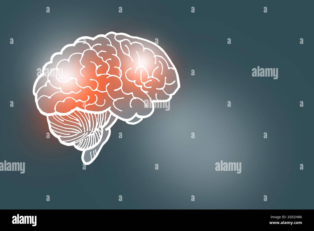 Handrawn illustration of human brain on dark grey background. Medical, science set with main human organs with empty copy space for text Stock Photo