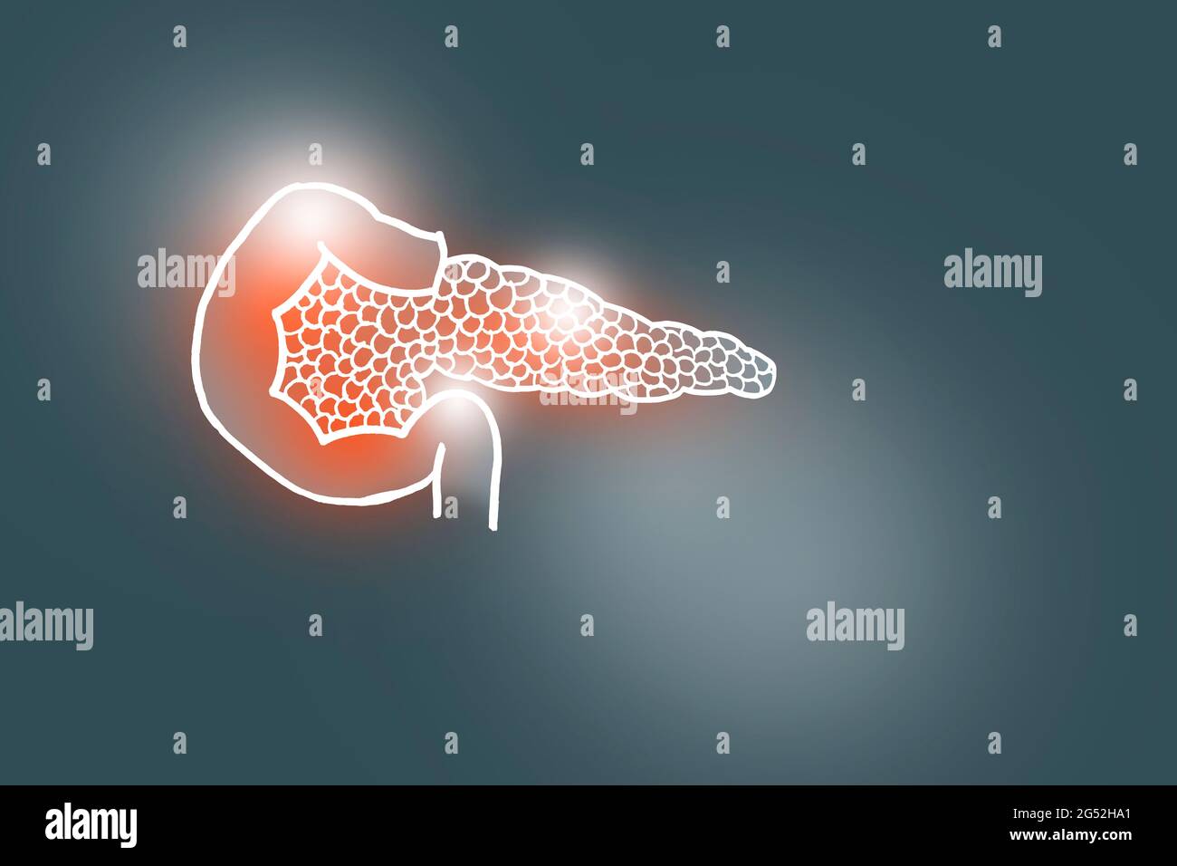 Handrawn illustration of human Pancreas on dark grey background. Medical, science set with main human organs with empty copy space for text Stock Photo