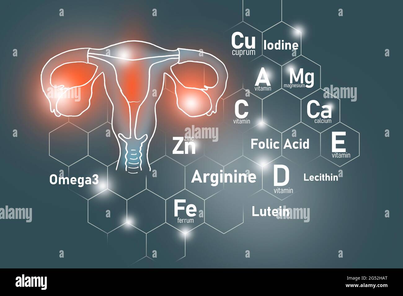 Essential Nutrients For Uterus Health Including Omega 3 Arginine essential-nutrients-for-uterus-health-including-omega-3-arginine