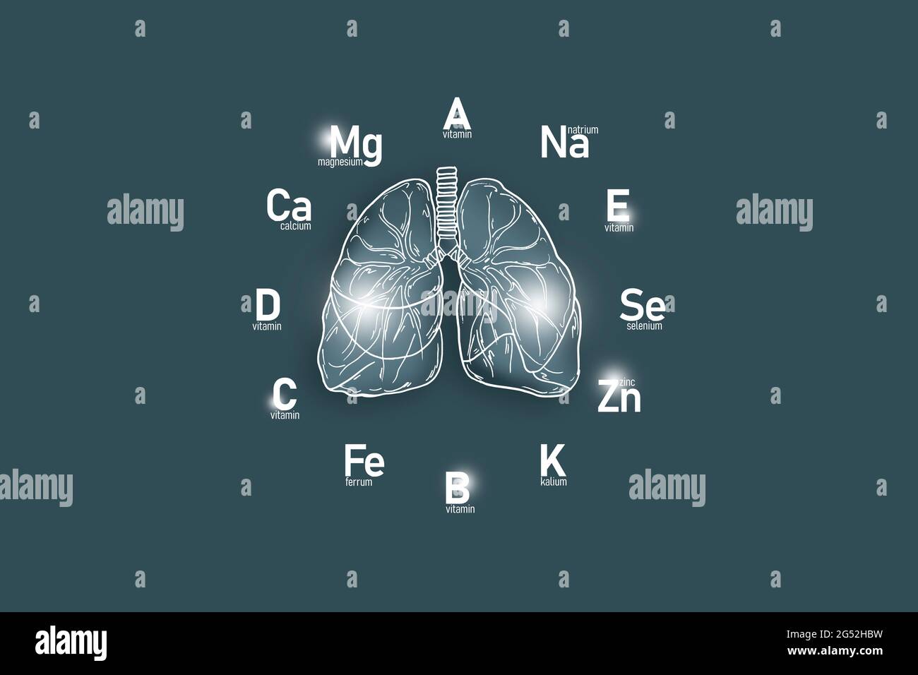 Stylized clockface with essential vitamins and microelements for human health, hand drawn Lungs, dark grey  background. Stock Photo