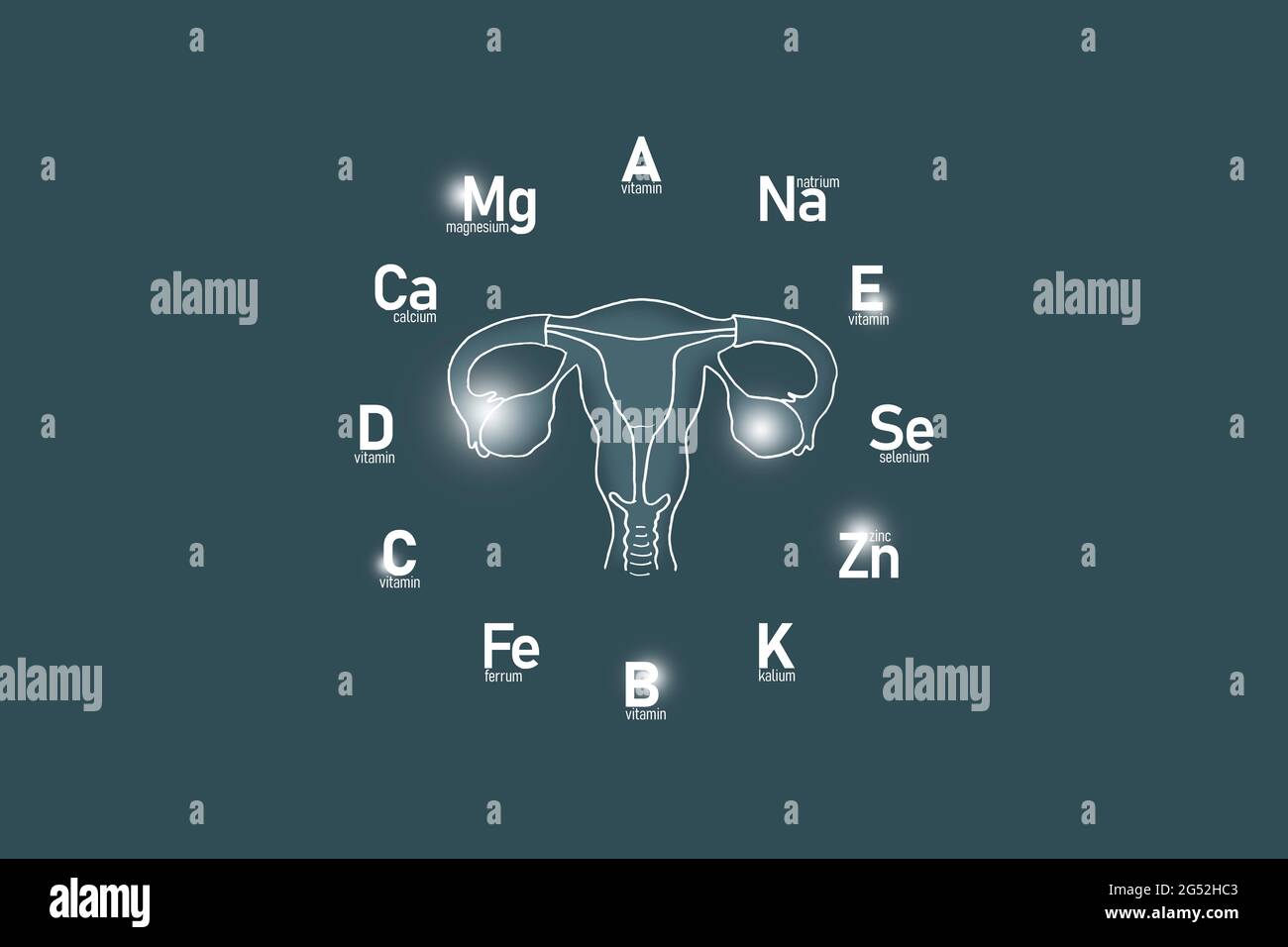 Stylized clockface with essential vitamins and microelements for human health, hand drawn Uterus, dark grey  background. Stock Photo