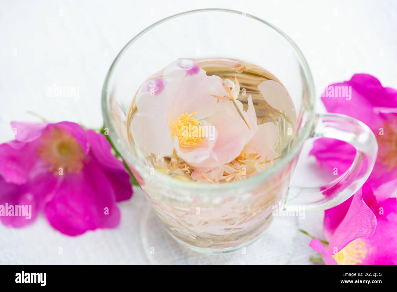 Herbal rose tea in the glass cup with fresh Rugosa rose (Rosa rugosa, Japanese rose) flowers on background. Top view. Stock Photo