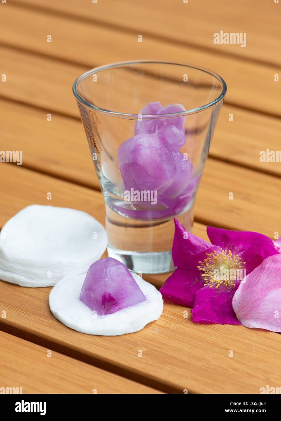 Ice cubes with rugosa Rose tea. Home made skin treatment. Close up. Stock Photo