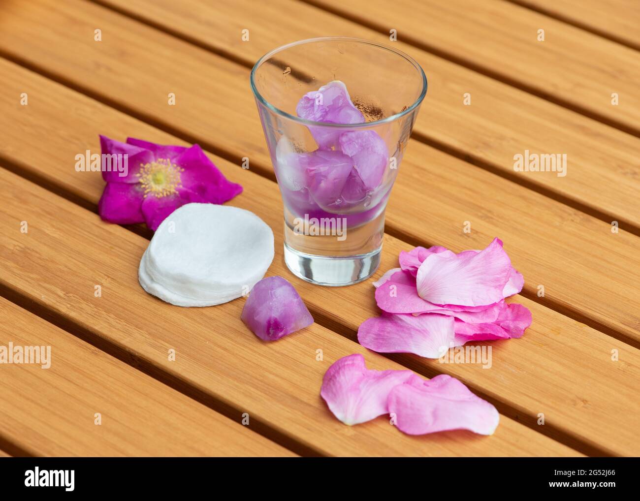 Ice cubes with rugosa Rose tea. Home made skin treatment. Close up. Stock Photo