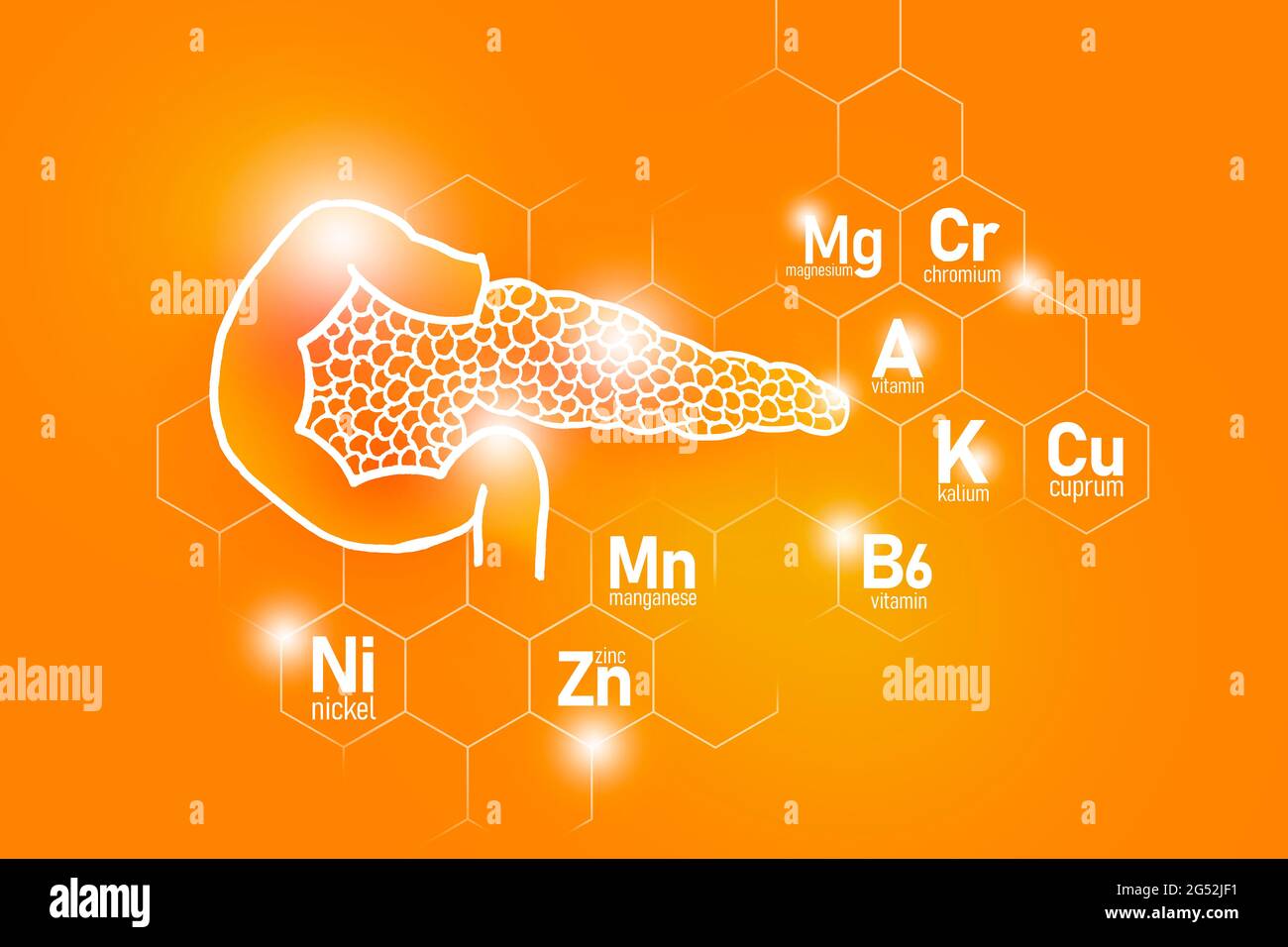 Essential nutrients for Pancreas health including Nickel, Chromium, Cuprum, Manganese. Design set of human organs on positive orange background. Stock Photo