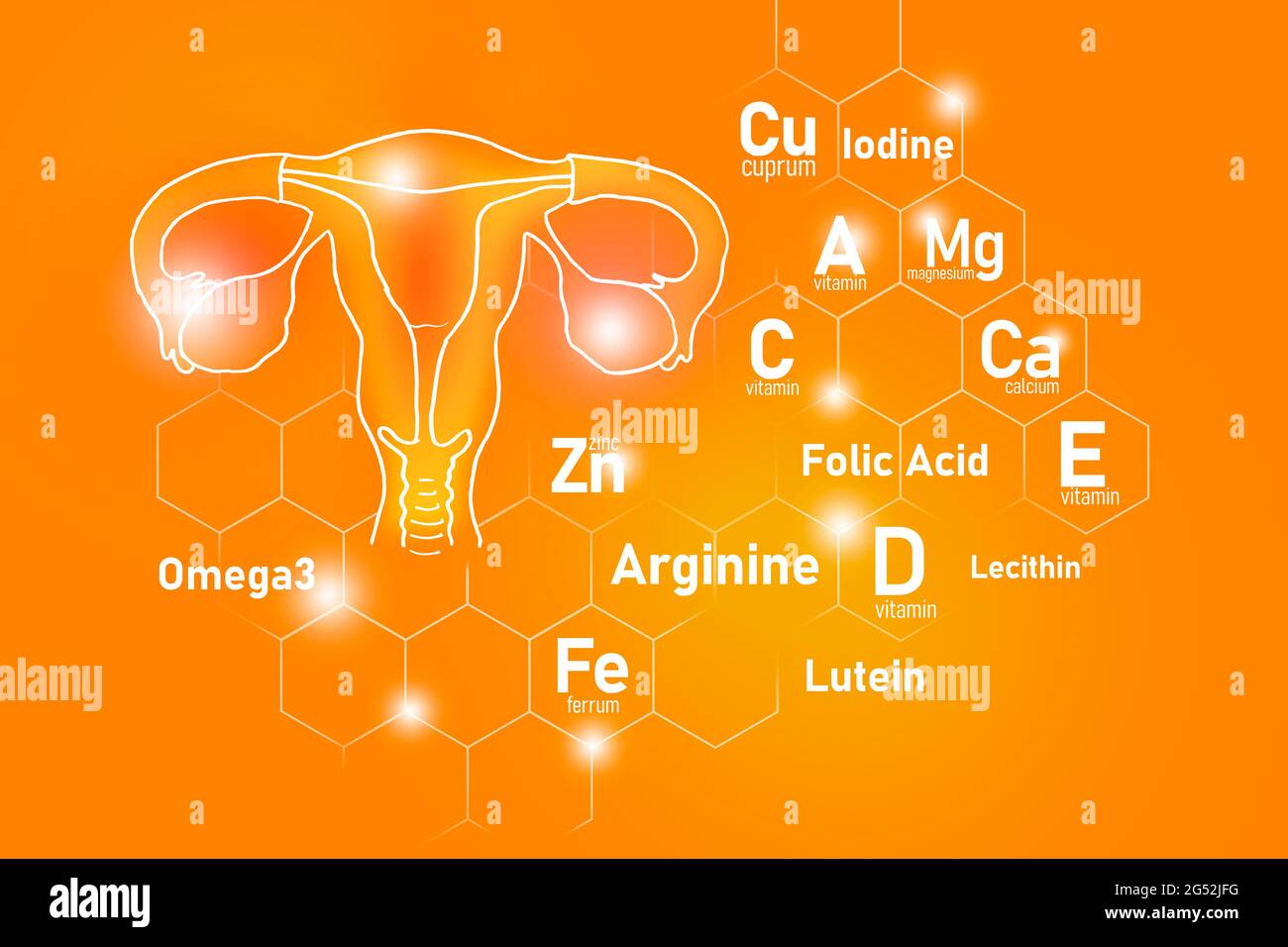 Essential nutrients for Uterus health including Omega 3, Arginine