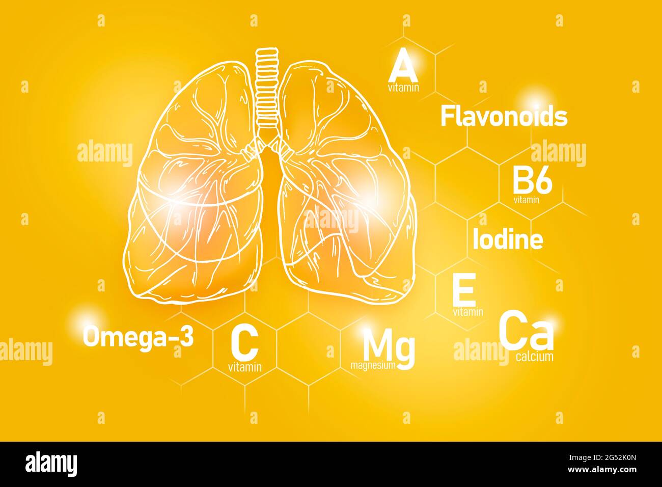 Essential nutrients for Lungs health including Omega3, Flavonoids