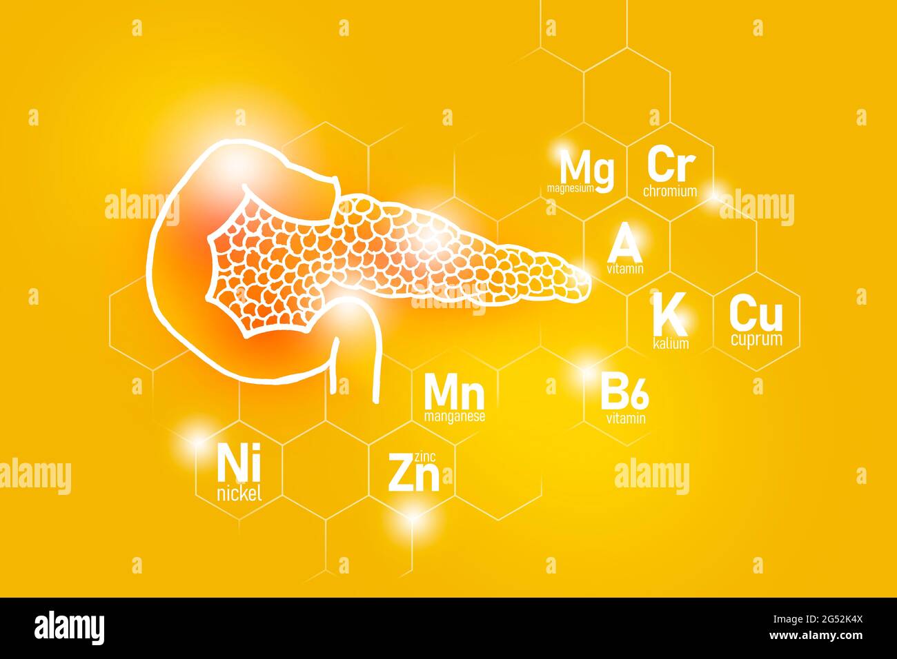 Essential nutrients for Pancreas health including Nickel, Chromium, Cuprum, Manganese. Design set of human organs on yellow background. Stock Photo