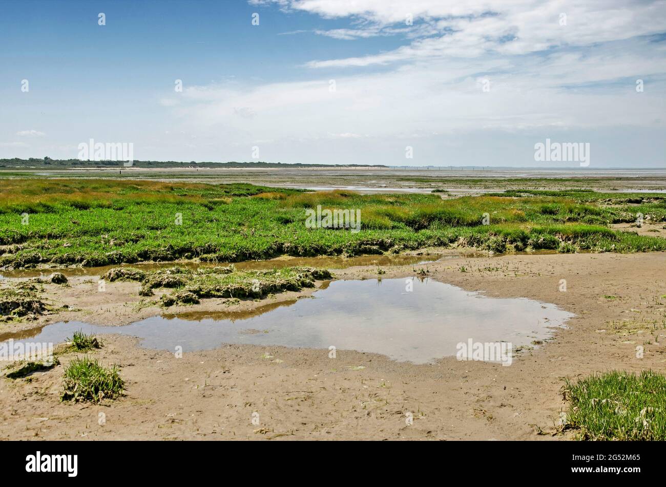 Shallow puddles, muddy beach and low vegetation at the Natura2000 area near Oostvoorne, The Netherlands Stock Photo