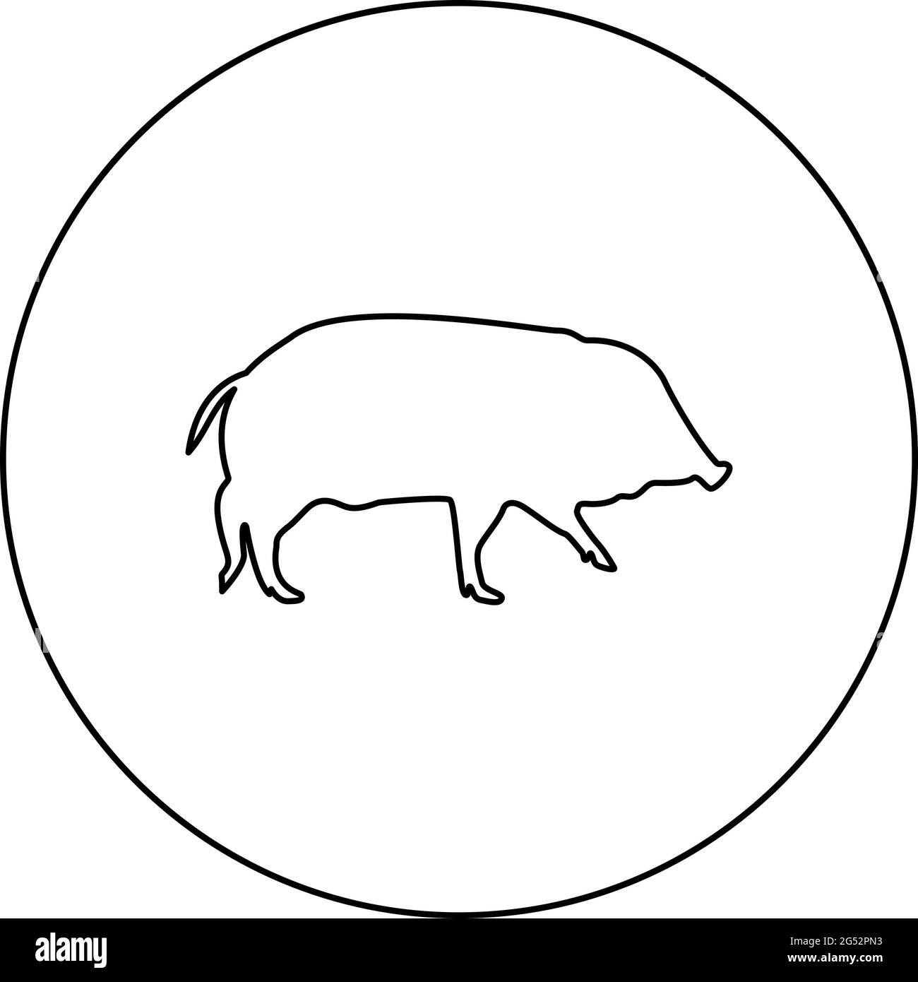 Wild boar Hog wart Swine Suidae Sus Tusker Scrofa  silhouette in circle round black color vector illustration contour outline style image simple image Stock Vector