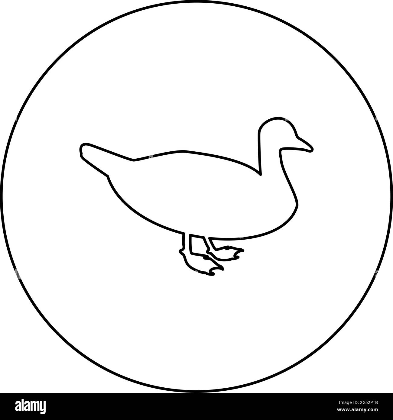 Duck Male mallard Bird Waterbird Waterfowl Poultry Fowl Canard  silhouette in circle round black color vector illustration contour outline style Stock Vector