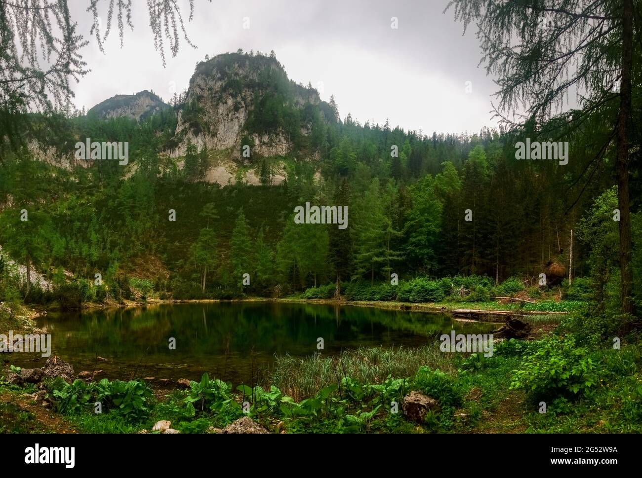 Mountain lake with trees hi-res stock photography and images - Alamy