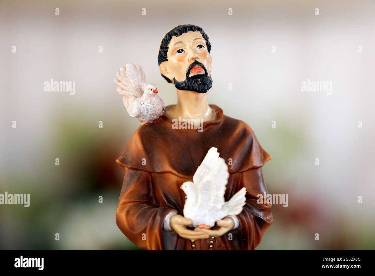 Saint Francis of Assisi of the Catholic Church St Francis Stock Photo