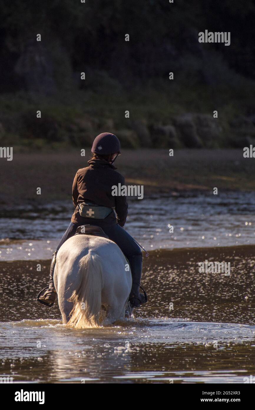 A rear view of a horse rider riding through the Gannel River during the