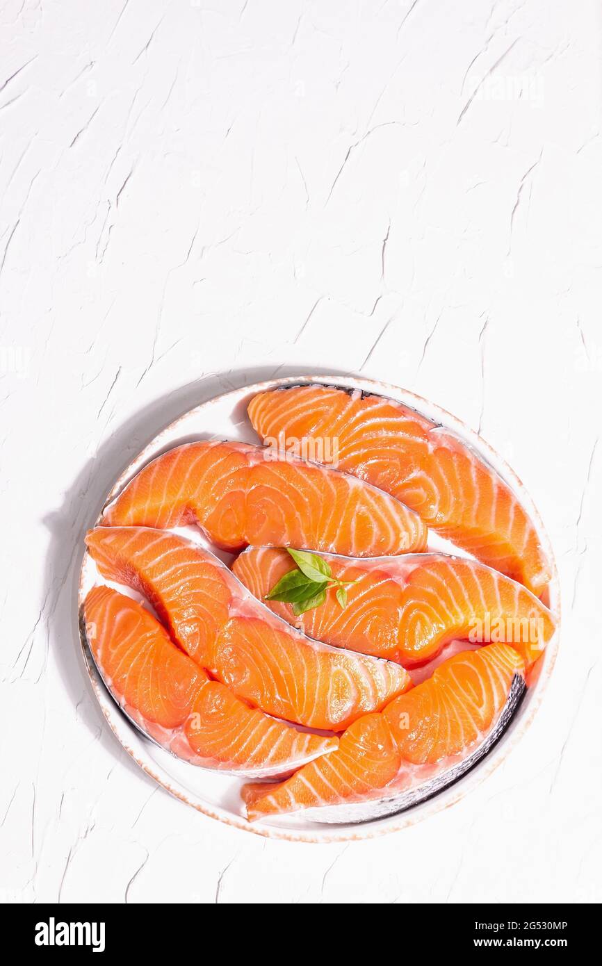 Fresh raw salmon or trout fish fillet steaks. Minimalistic design