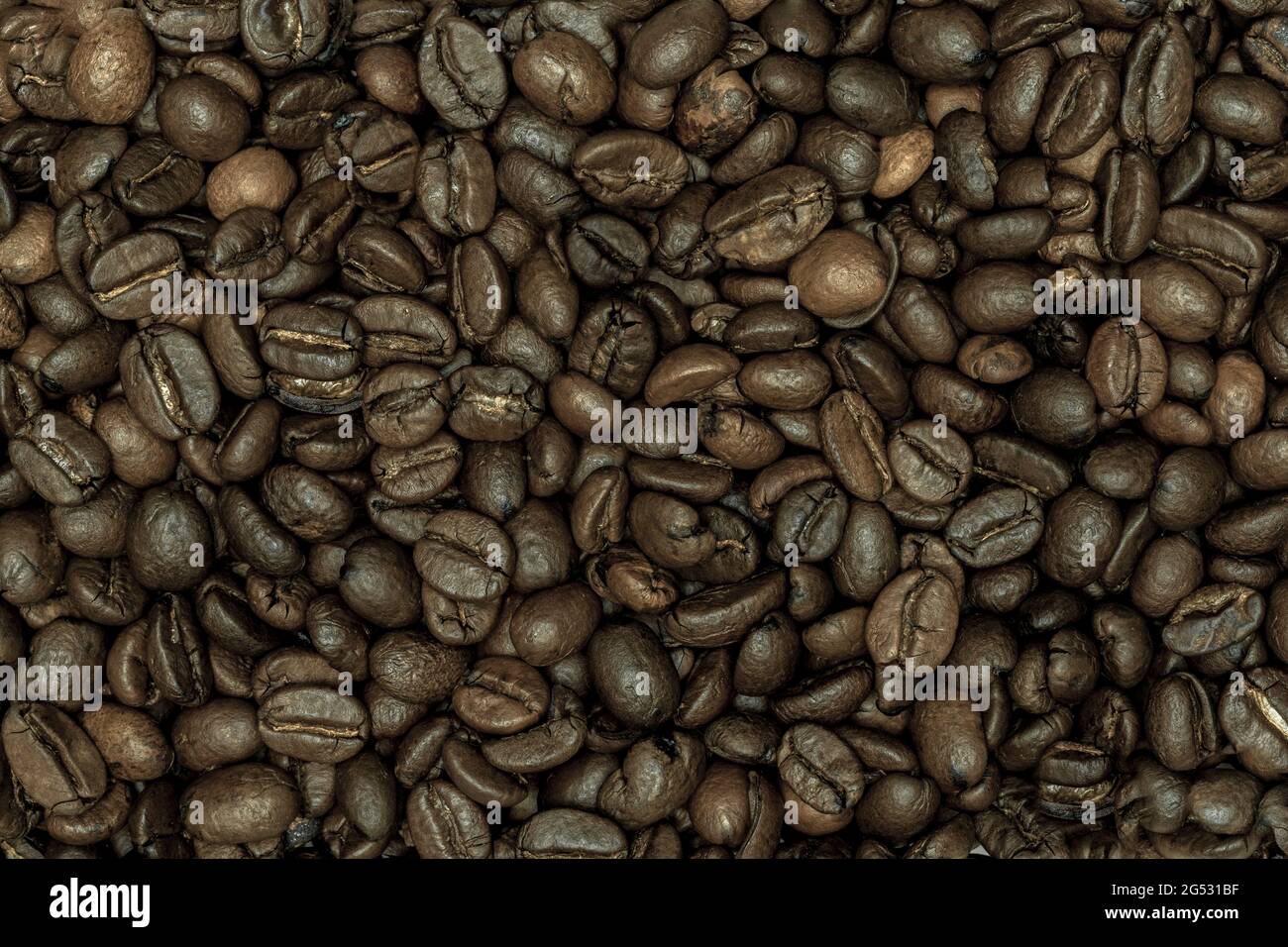 Coffee beans filling the screen close up macro. Stock Photo