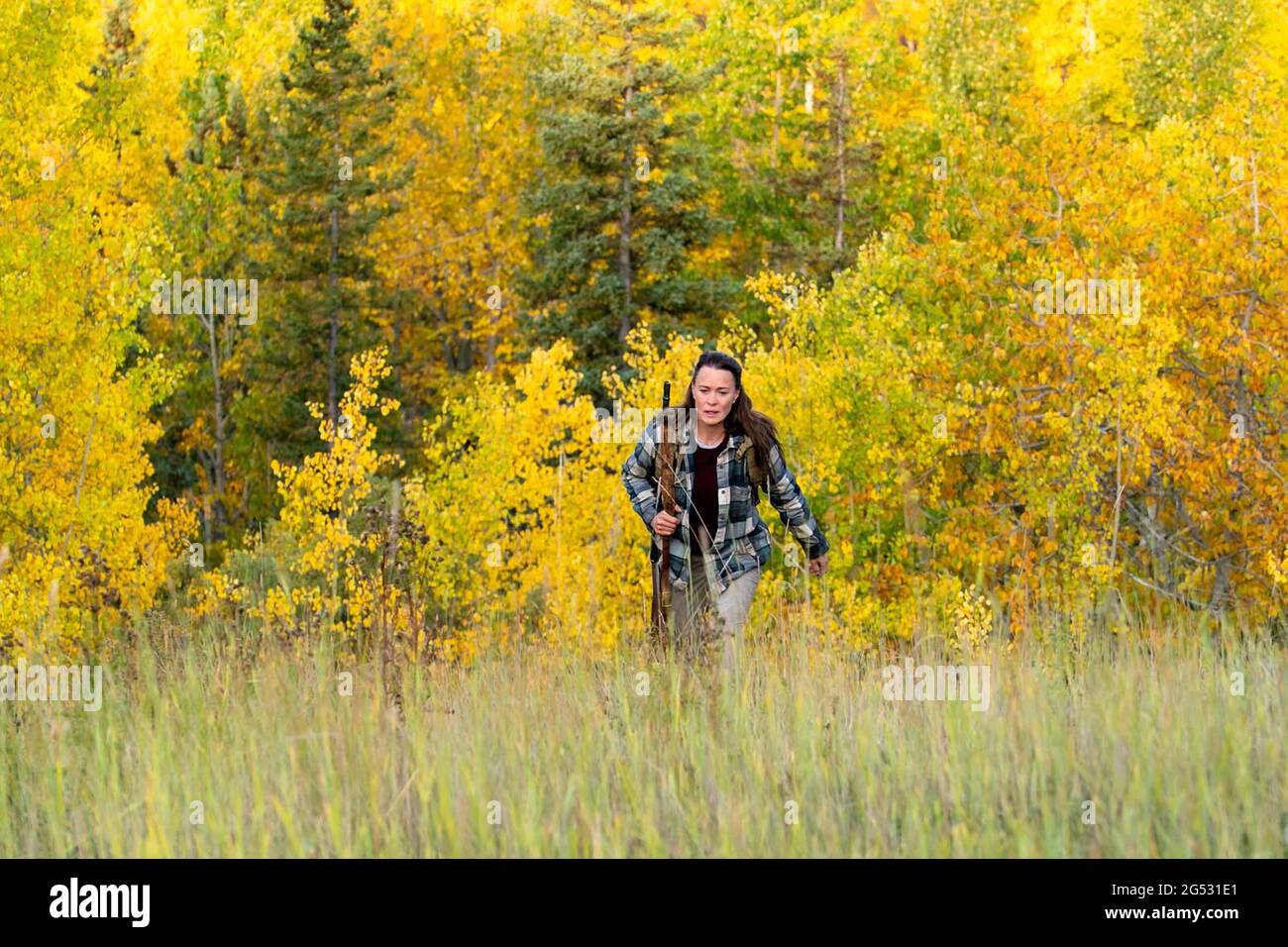 Land 2021 Robin Wright Robin Wright Dir Focus Features Moviestore