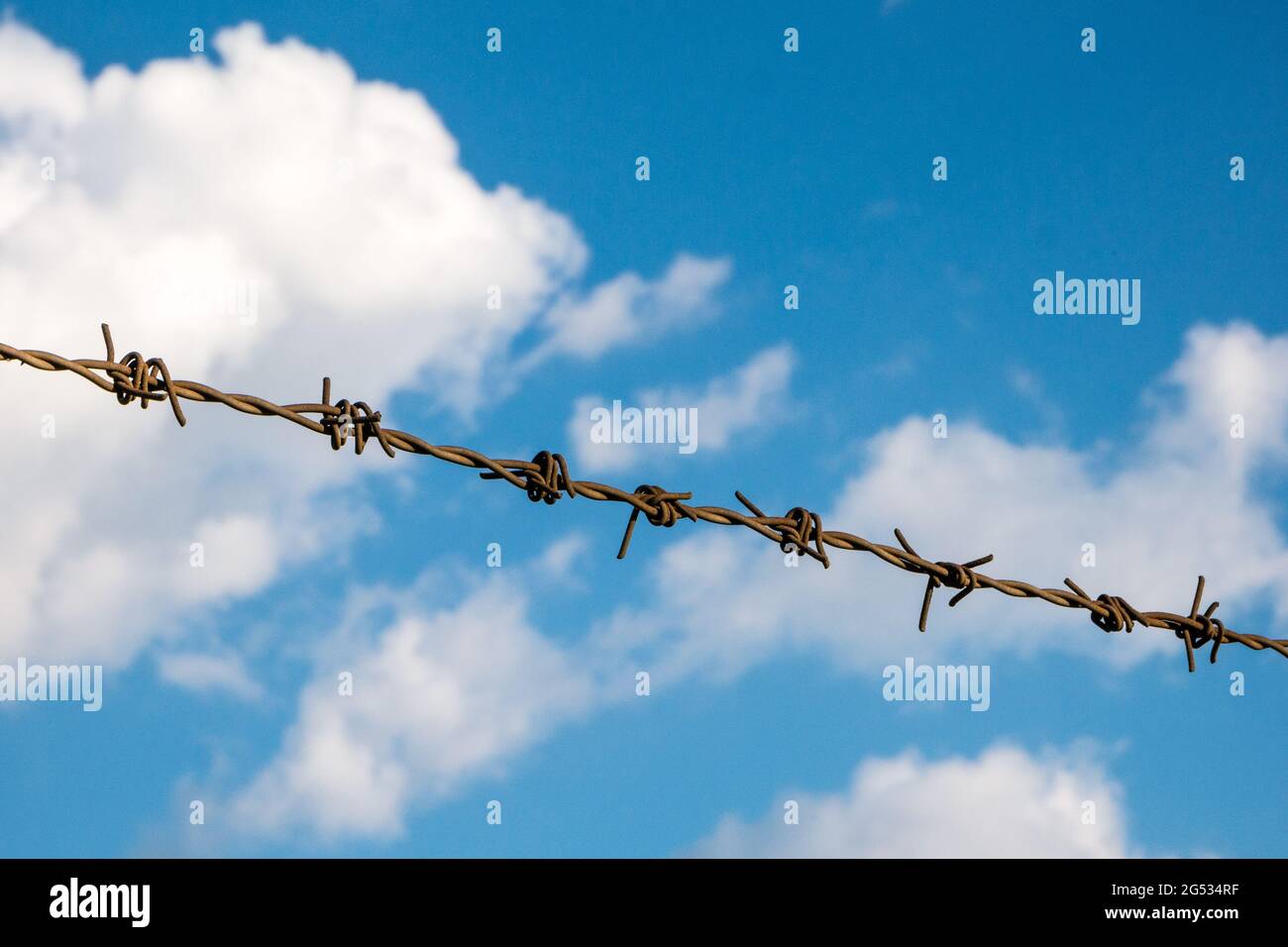Barbed wire on the blue sky background Stock Photo
