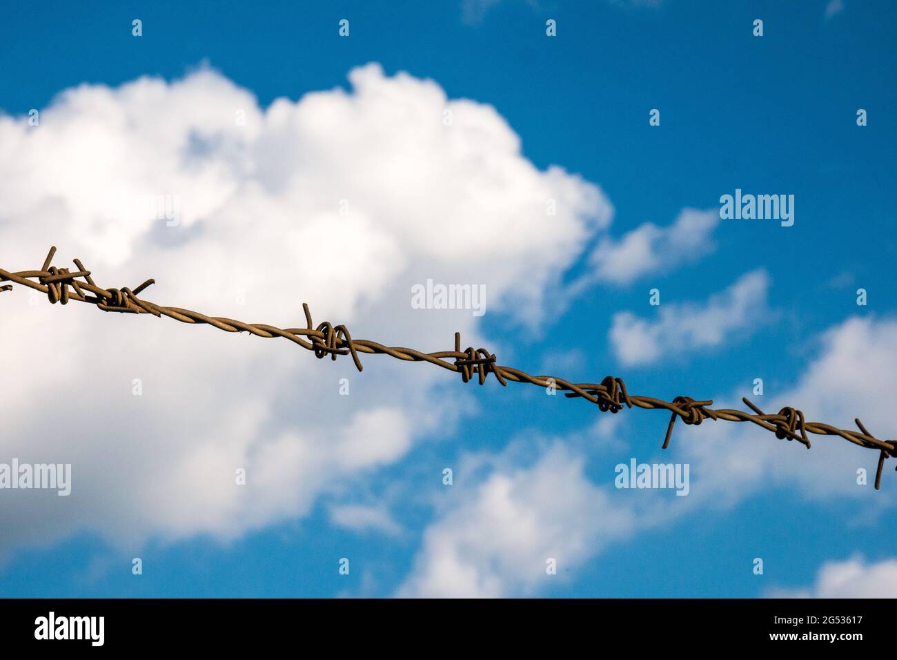 Barbed wire on the blue sky with clouds background Stock Photo - Alamy