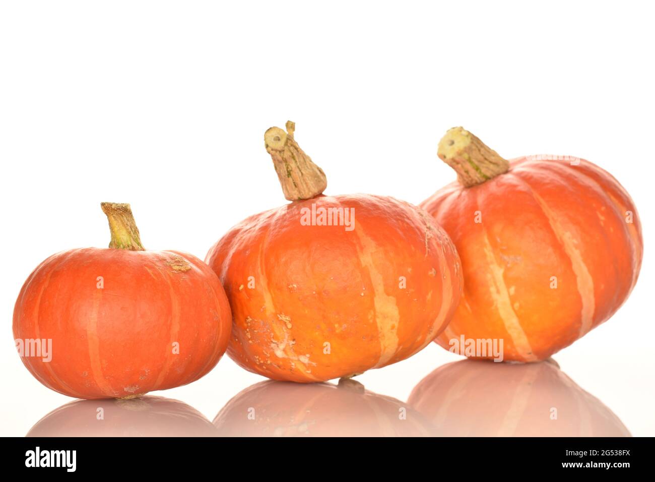 Three ripe organic pumpkins, close-up, isolated on white background ...