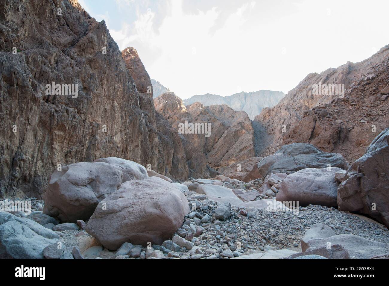 EGYPT, SINAI: A walk through the desert north of Nuweiba. Mountains of all colors and different types of stones. Sand and some acacia trees that survi Stock Photo