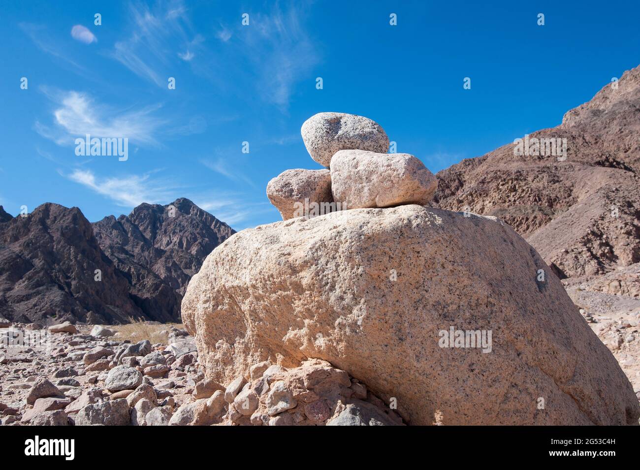 EGYPT, SINAI: A walk through the desert north of Nuweiba. Mountains of all colors and different types of stones. Sand and some acacia trees that survi Stock Photo