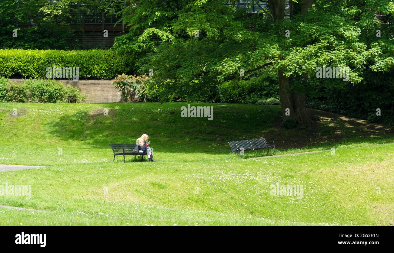 Young blonde lady using mobile phone in park area Stock Photo