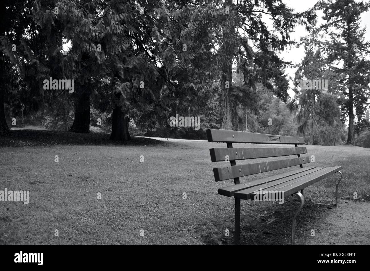 Black and white park bench hi-res stock photography and images - Alamy