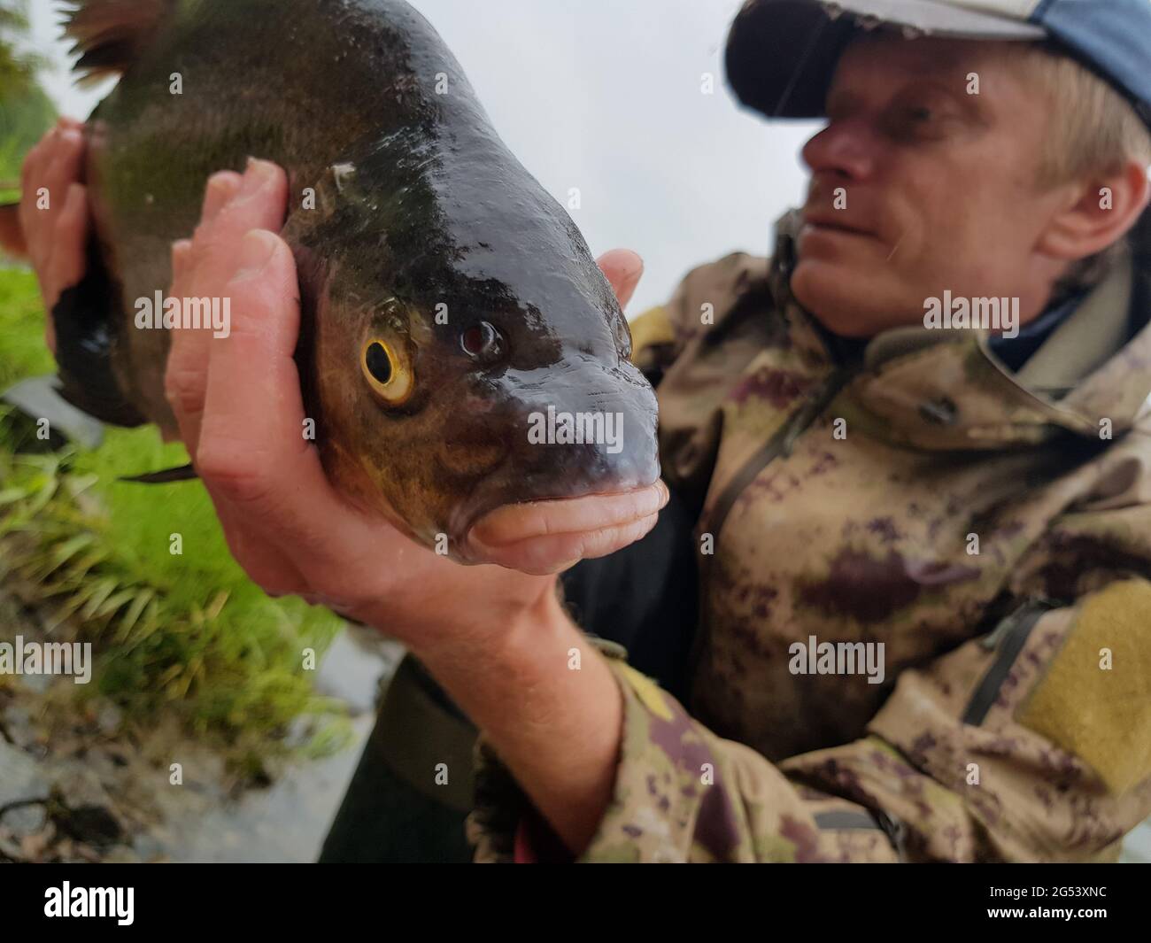 Happy fisherman holding a beautiful common bream. Feeder fishing on the river. Stock Photo