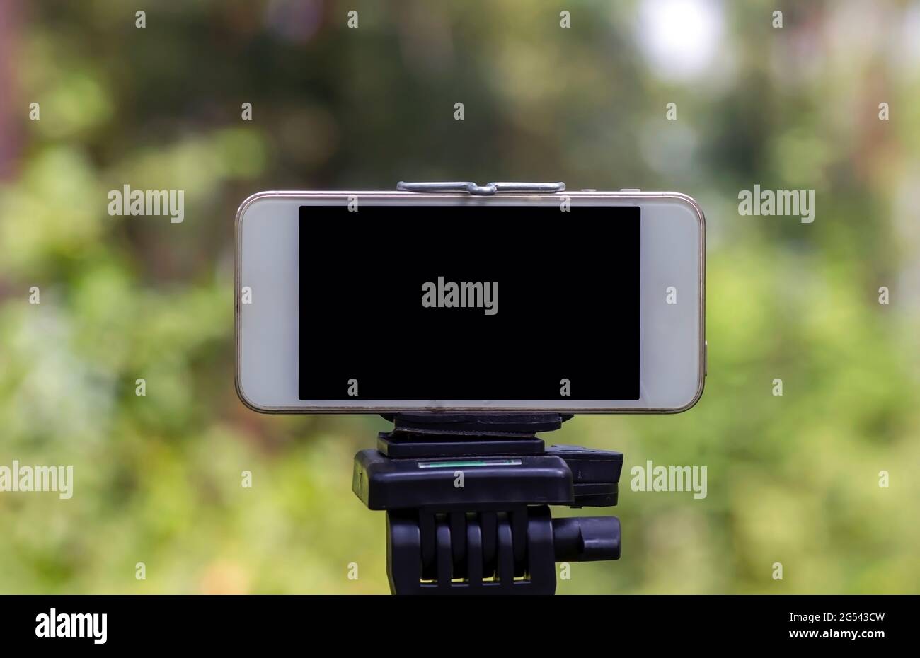 A mobile phone mounted on a tripod capturing image of natural forest in Wonogiri, Indonesia. Stock Photo