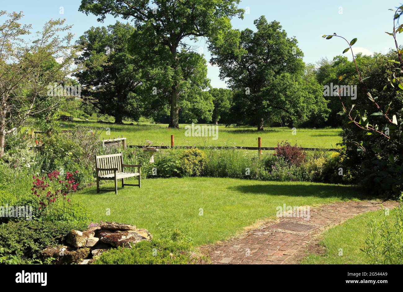 Flowers grass meadows england sheep hi-res stock photography and images ...