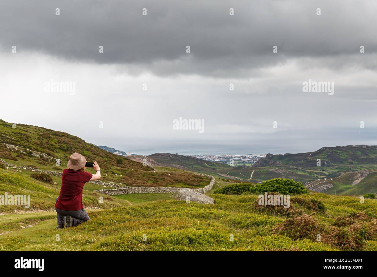 A single female walker taking photographs using a mobile phone on the scenery on the Wales Coastal Path at Penmaenmawr, Cony, Wales Stock Photo