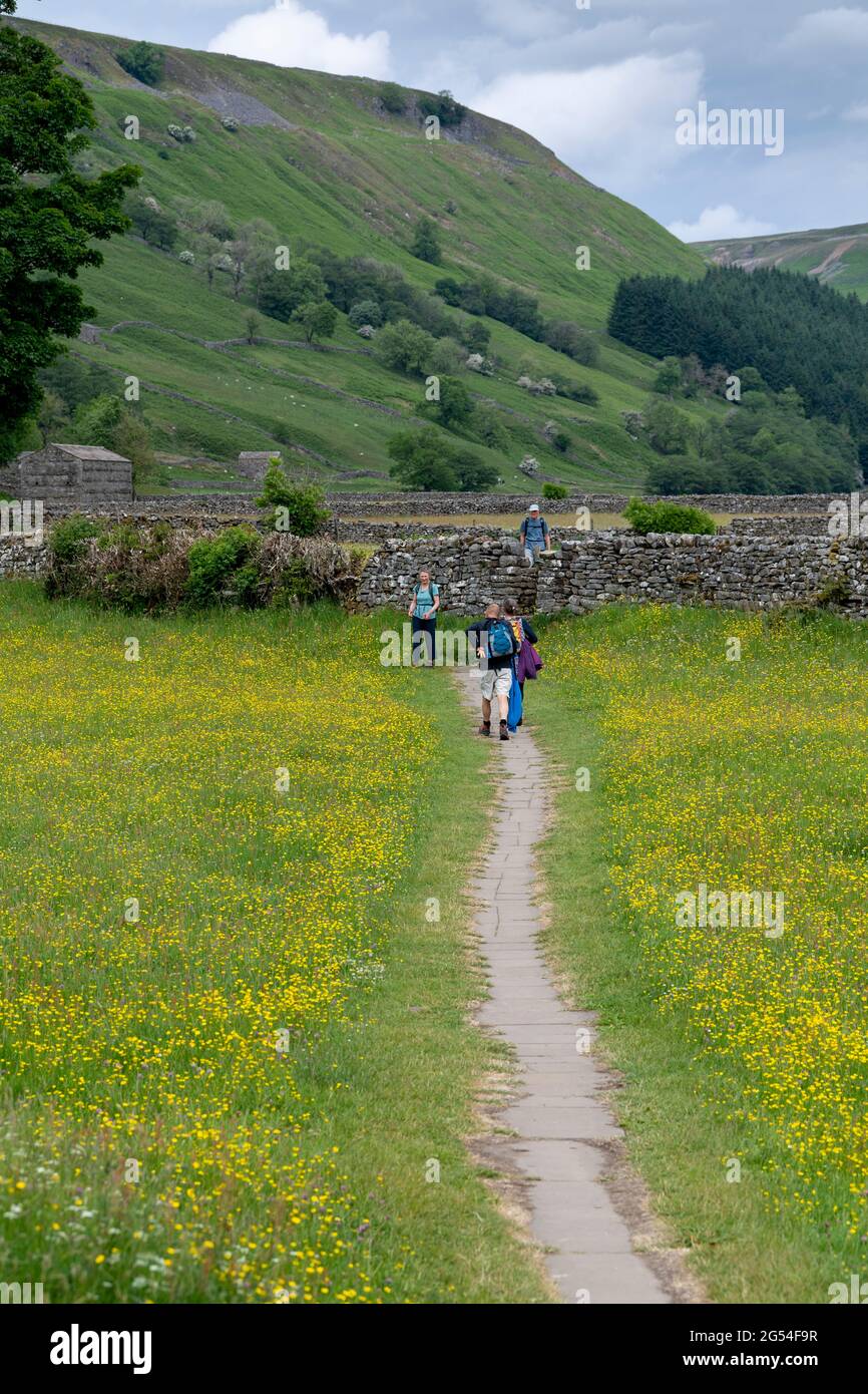 Walkers visiting the Muker meadows in early summer when they are in full bloom. Yorkshire Dales National Park, UK. Stock Photo