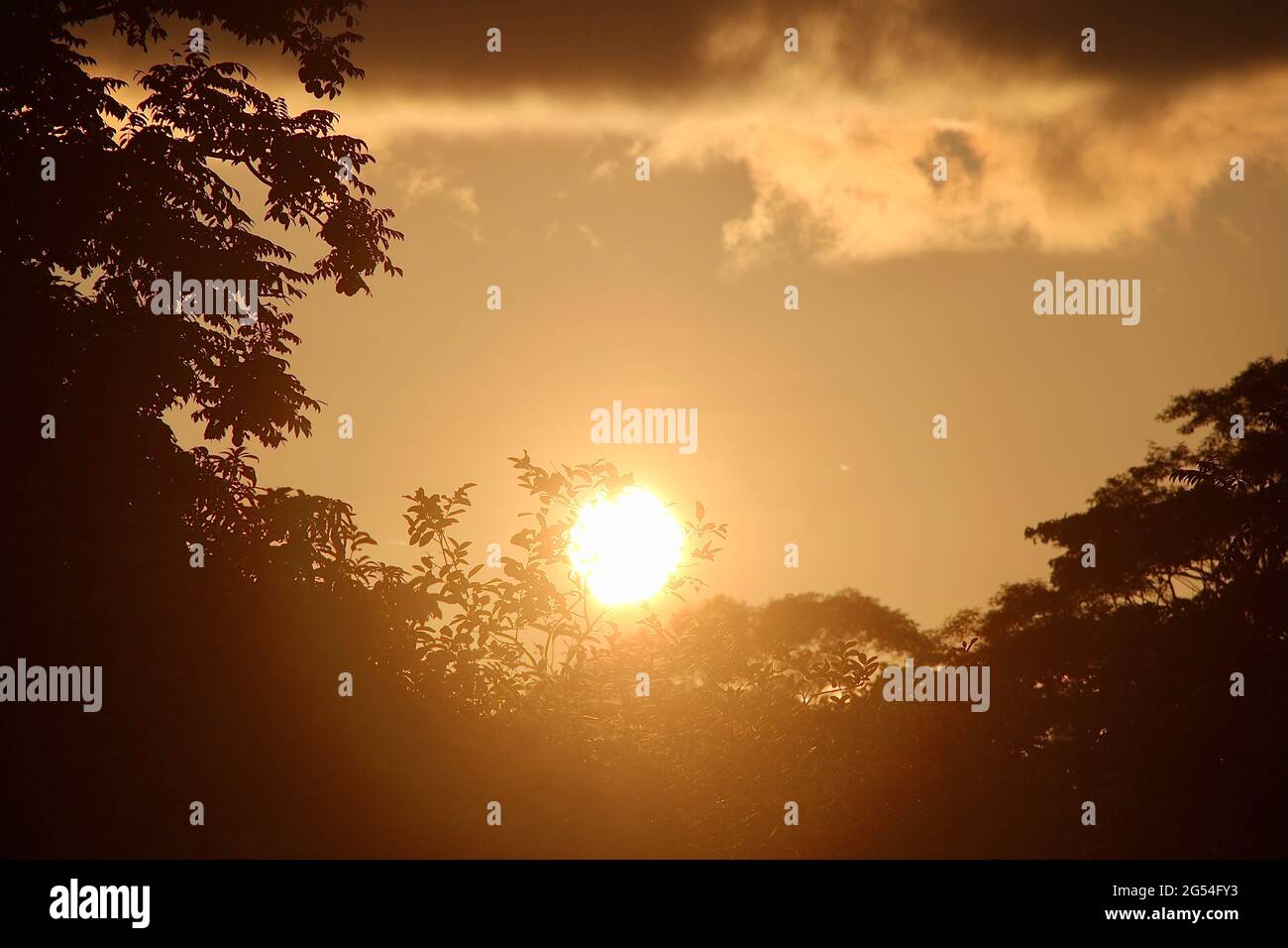 Happiness — available from a sunset near you. Stock Photo