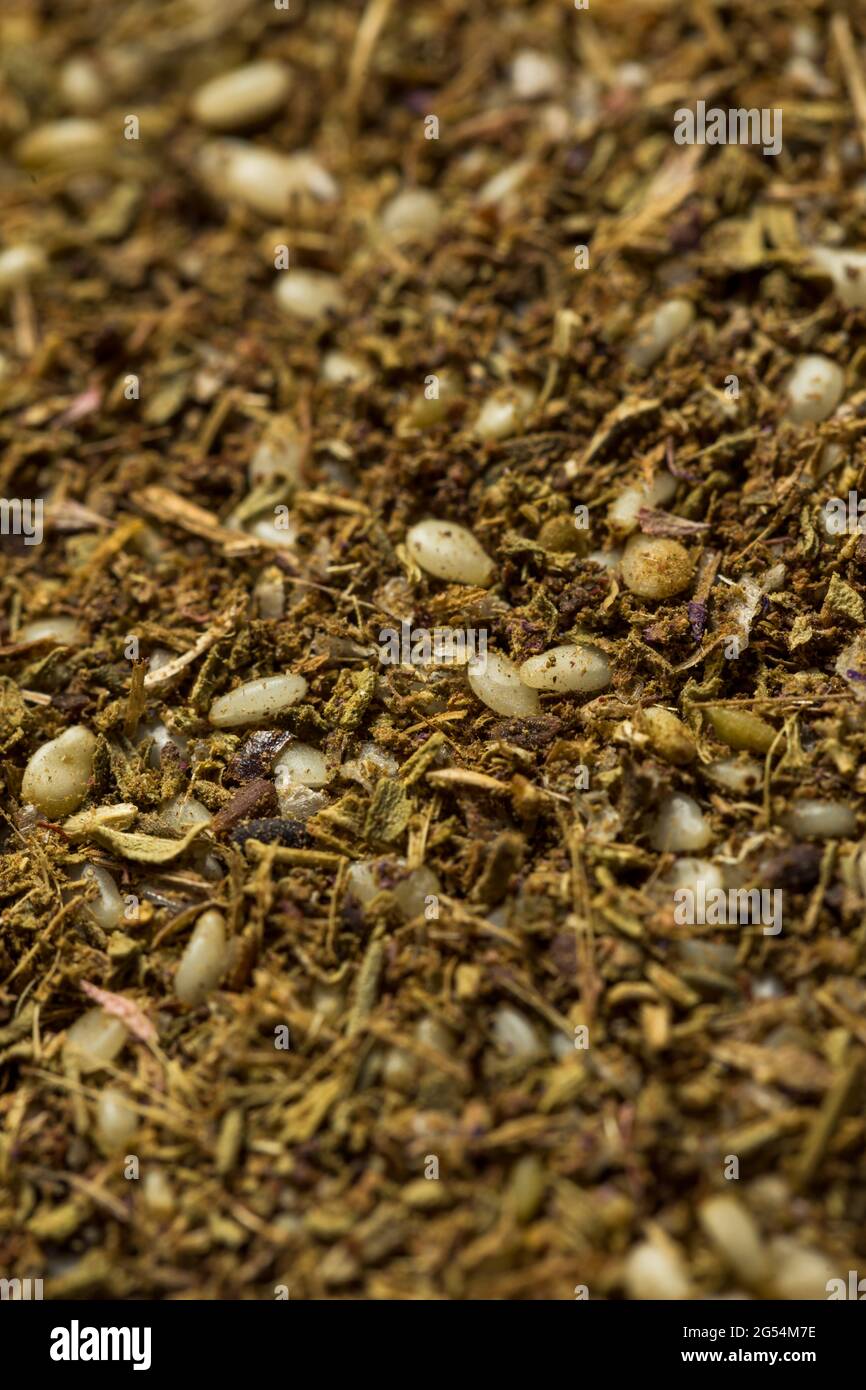 Zaatar sumac hires stock photography and images Alamy