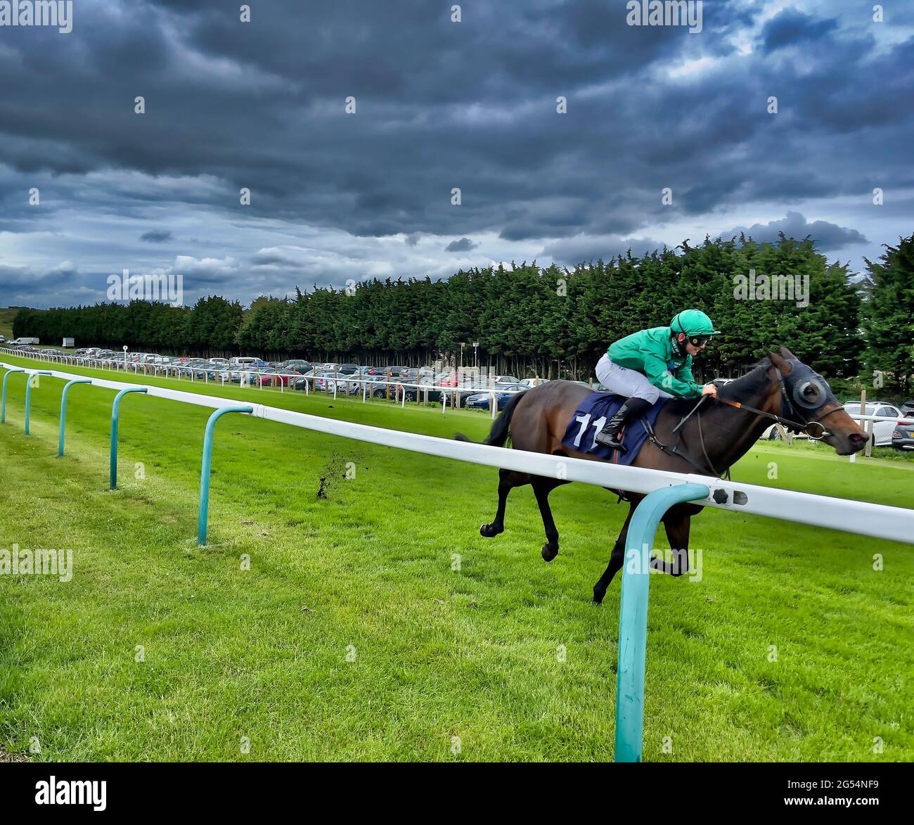 Horse and Jockey Stock Photo Alamy