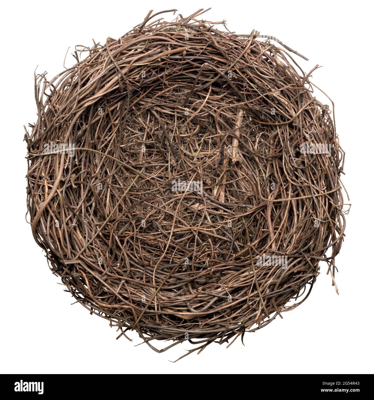 Empty bird nest, isolated on white background Stock Photo